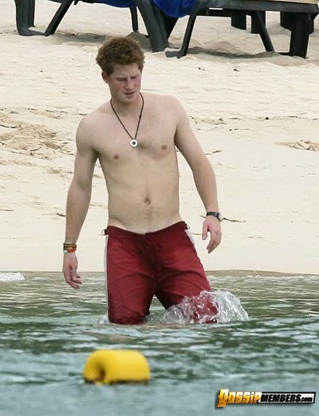 sexymalecelebs-Prince_Harry