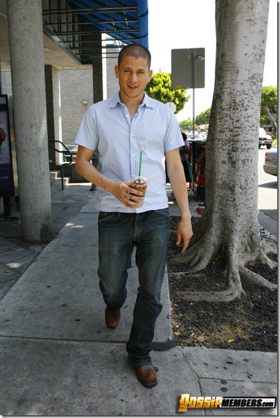 sexymalecelebrities-wentworth_miller