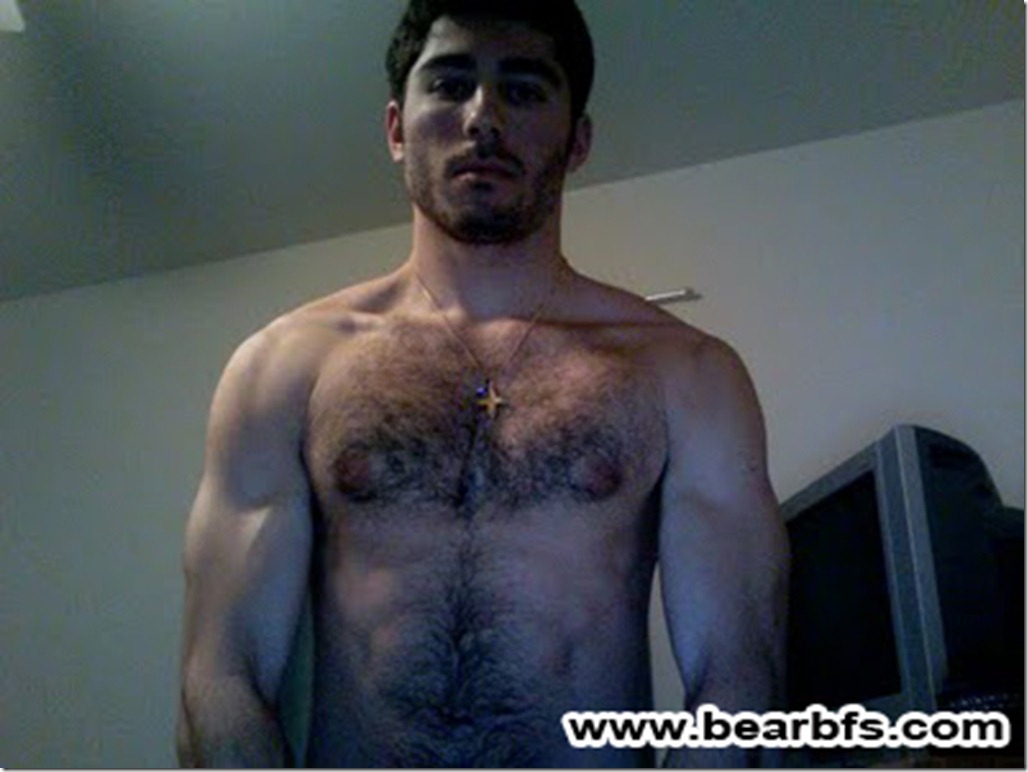 bearbfs 018