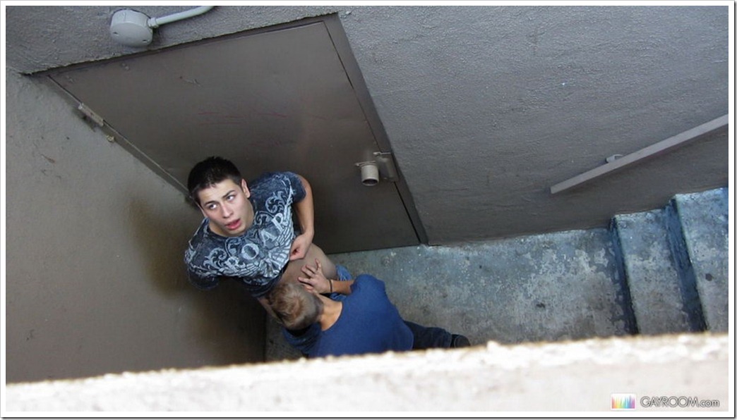 gay violations gay violations