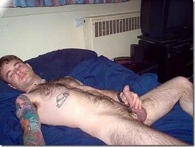 bear bf 2 bear bf 2