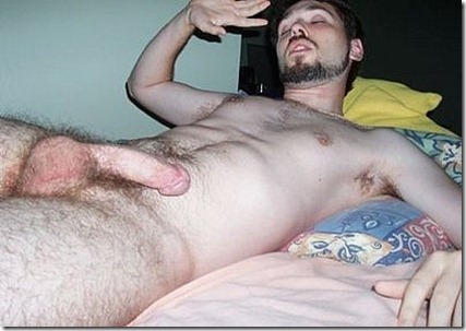 bear bf bear bf