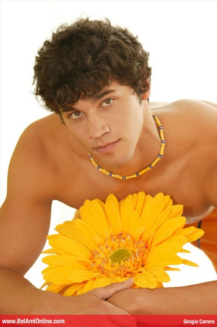 belami (2)