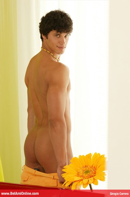 belami (3)